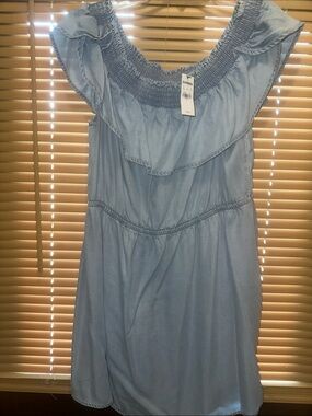 Express Light Blue Smocked Dress
